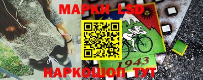 прущие грибы Дубна
