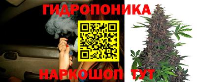 прущие грибы Дубна