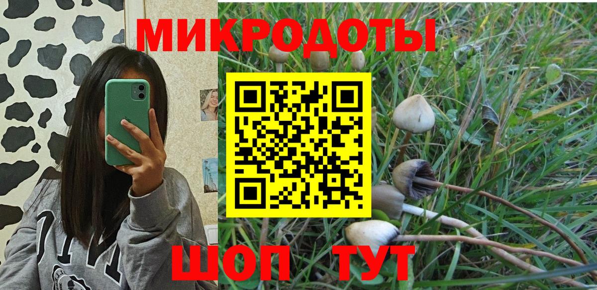Галлюциногенные грибы Cubensis  Вход с VPN  Луга  Псилоцибиновые грибы Psilocybe 